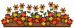 Autumn Flowers